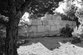 Pronnoi 1: acropolis - Palaikastro