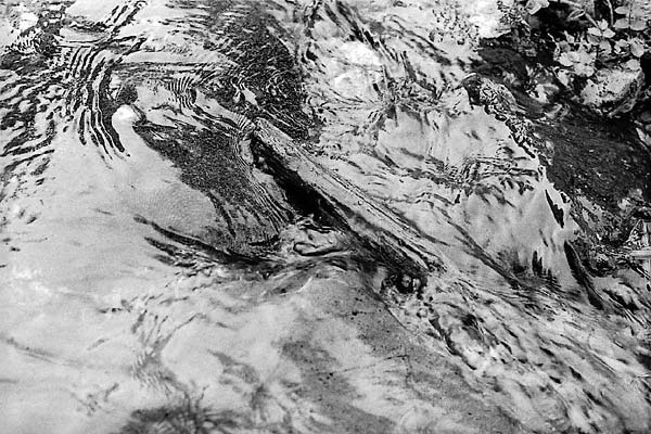 spring of Kastalia