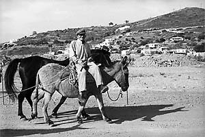 Leros man on mule