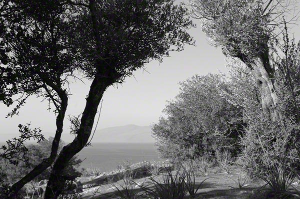 Pyrra, temple of Dionysos Bresagenes