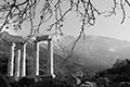 Hieron, stoa