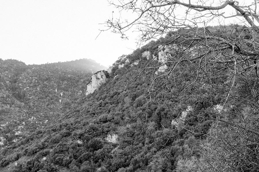 Alpenoi