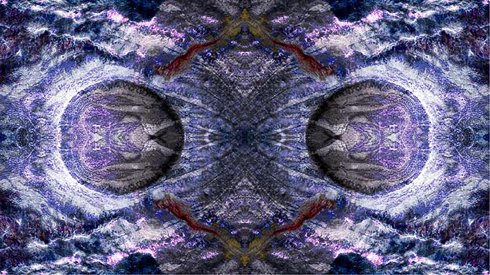 binary fission