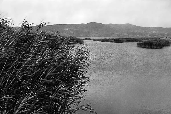 Gygæan lake