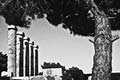 sanctuary of Athena