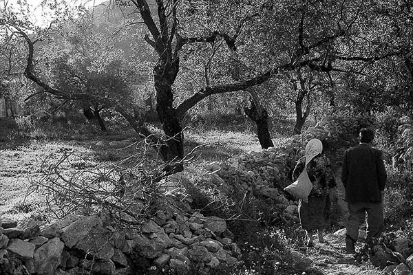 Turkish couple in countryside